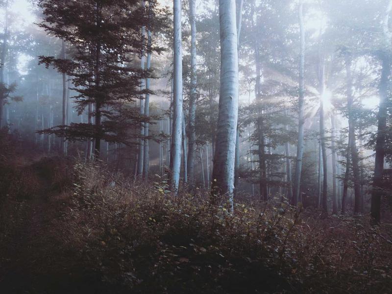Bot 工厂<br>无代码机器人搭建与部署